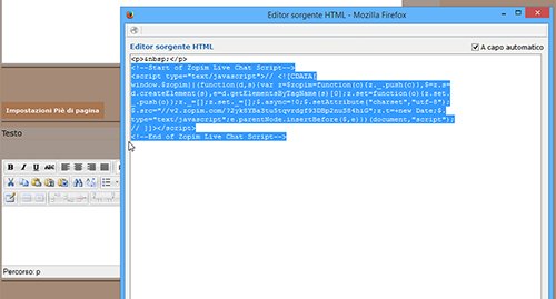 come utilizzare una live chat su newcart 24
