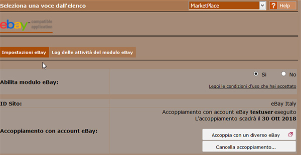 Rimuovere i contenuti attivi dalle inserzioni ebay 03