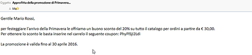 come inviare dei coupon di sconto con una newsletter su newcart 22