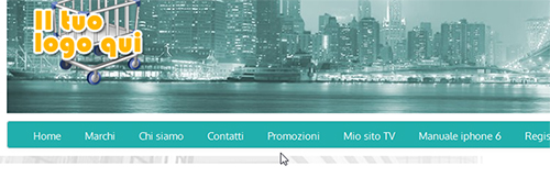 newcart inserire altri contenuti sull'e-shop 38