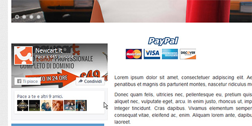 Inserire plugin Facebook in NewCart 

12