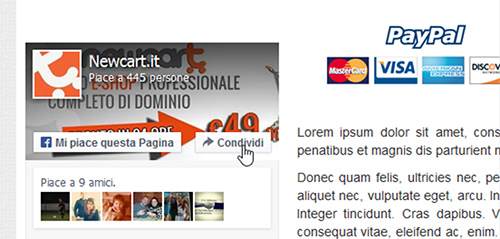 Inserire plugin Facebook in NewCart 

14